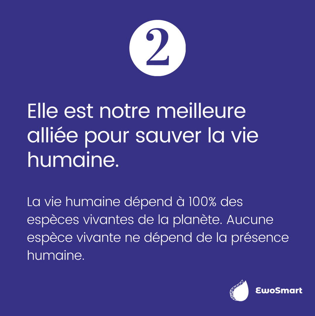 Capture d’écran 2021-11-08 à 15.16.17.png