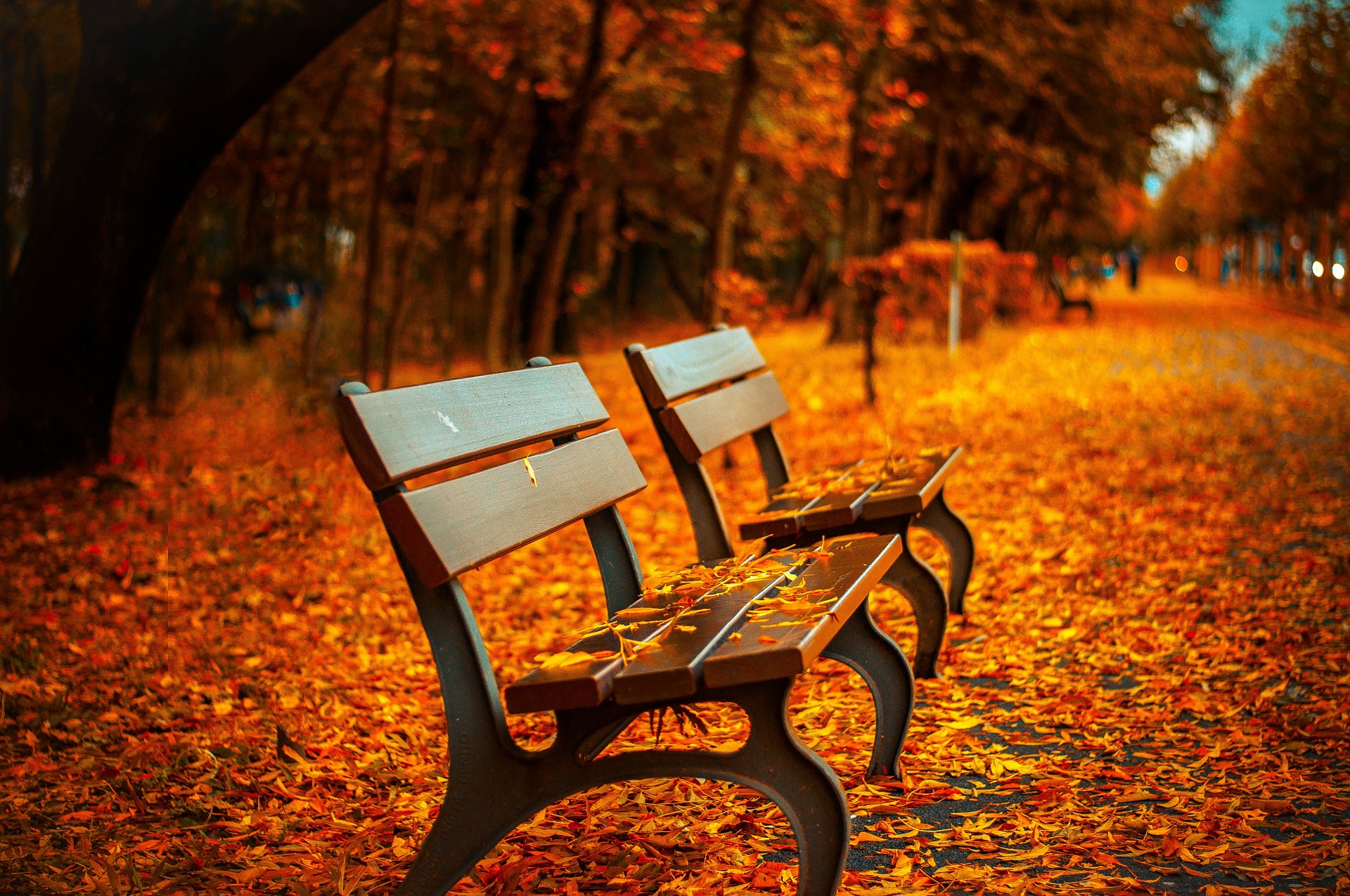 2019-04-07-fall-bench