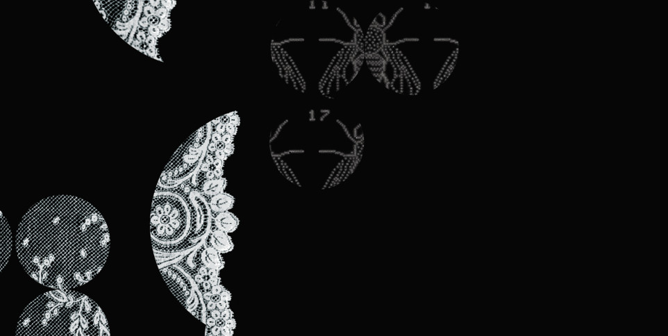 Lace patterns with insects on a black background