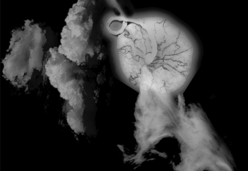 An abstract image with clouds and a floating placenta.