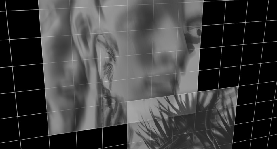 Greyscale images of a distorted 3d modeled face and plants against a black and white grid