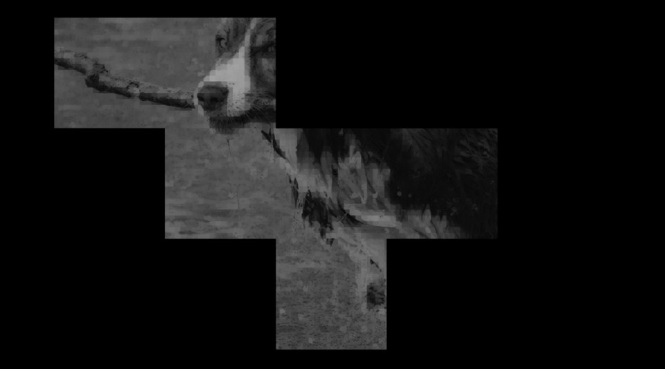 Pixelated image of a dog biting a stick.