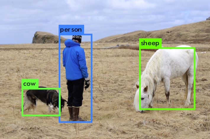 A dog, a person, and a sheep being misclassified by machine vision.