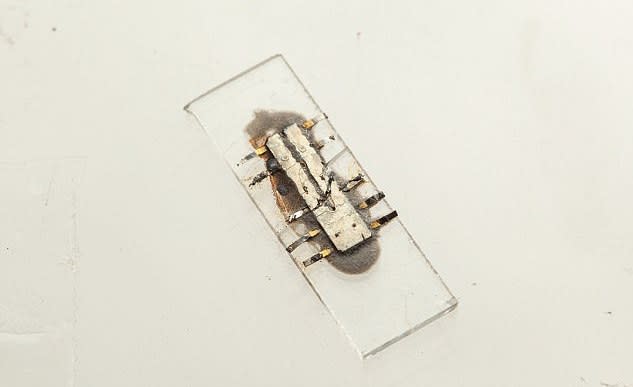 A microchip.
