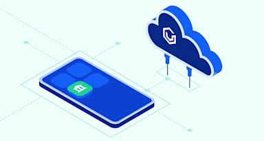 VGS + Web Application Firewall Part 1