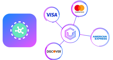 vgs-is-the-only-non-psp-connected-to-all-4-major-networks-for-network-tokens