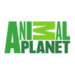 Animal Planet logo