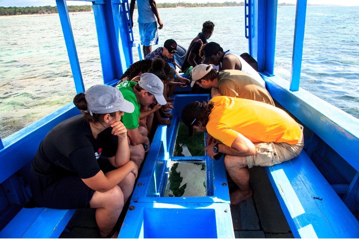 Glass-bottom Boat Tour