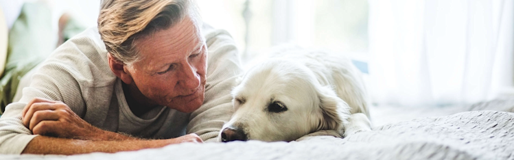 Man och hund ligger i en säng