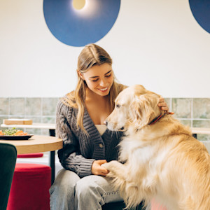 A young woman seated at a table in a restaurant pets her golden retriever dog seated next to her.
