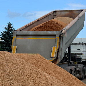 A dump truck with its trailer bed raised releases a large load of gravel onto the ground, forming a growing pile of material at a construction site.