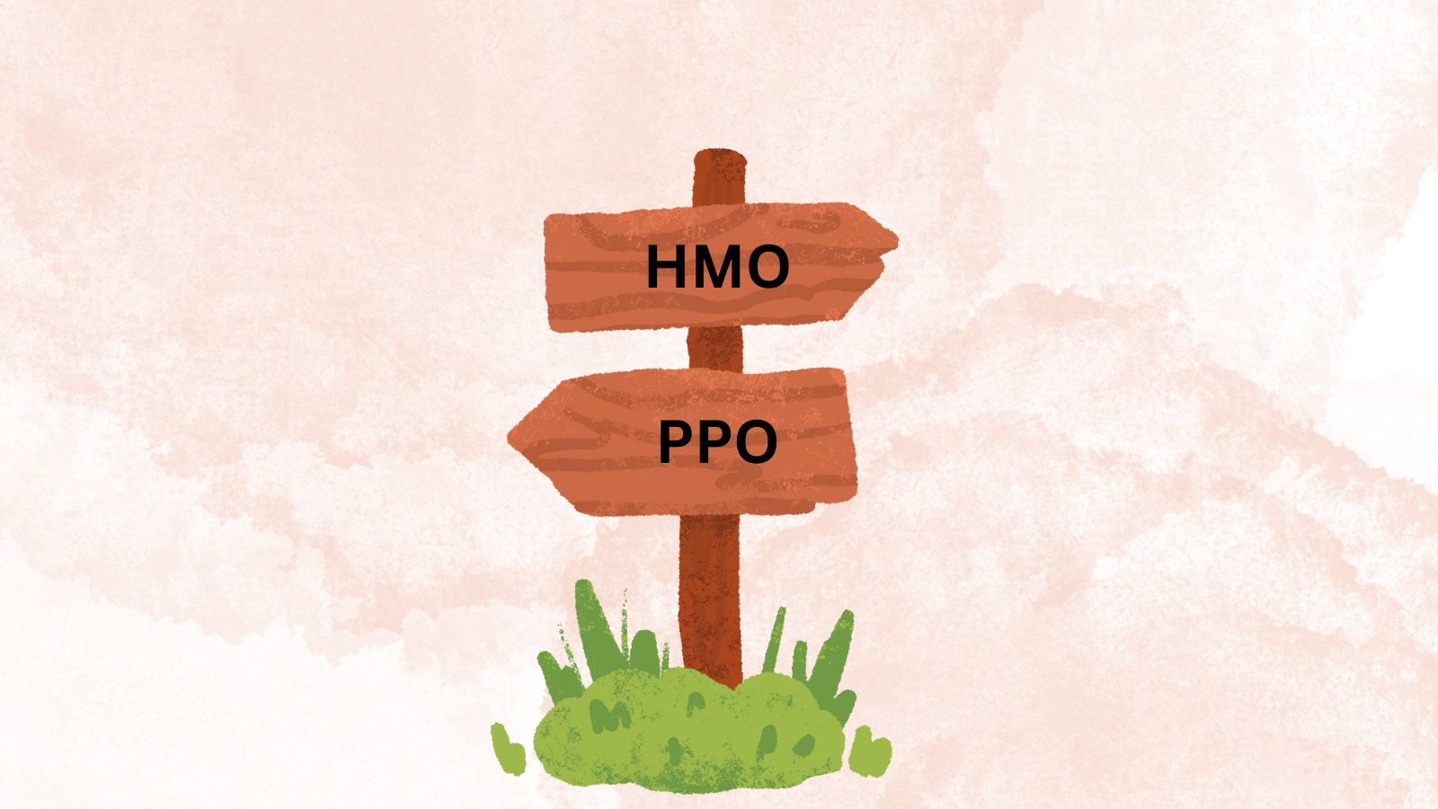 What S The Difference Between Hmo And Ppo Plans