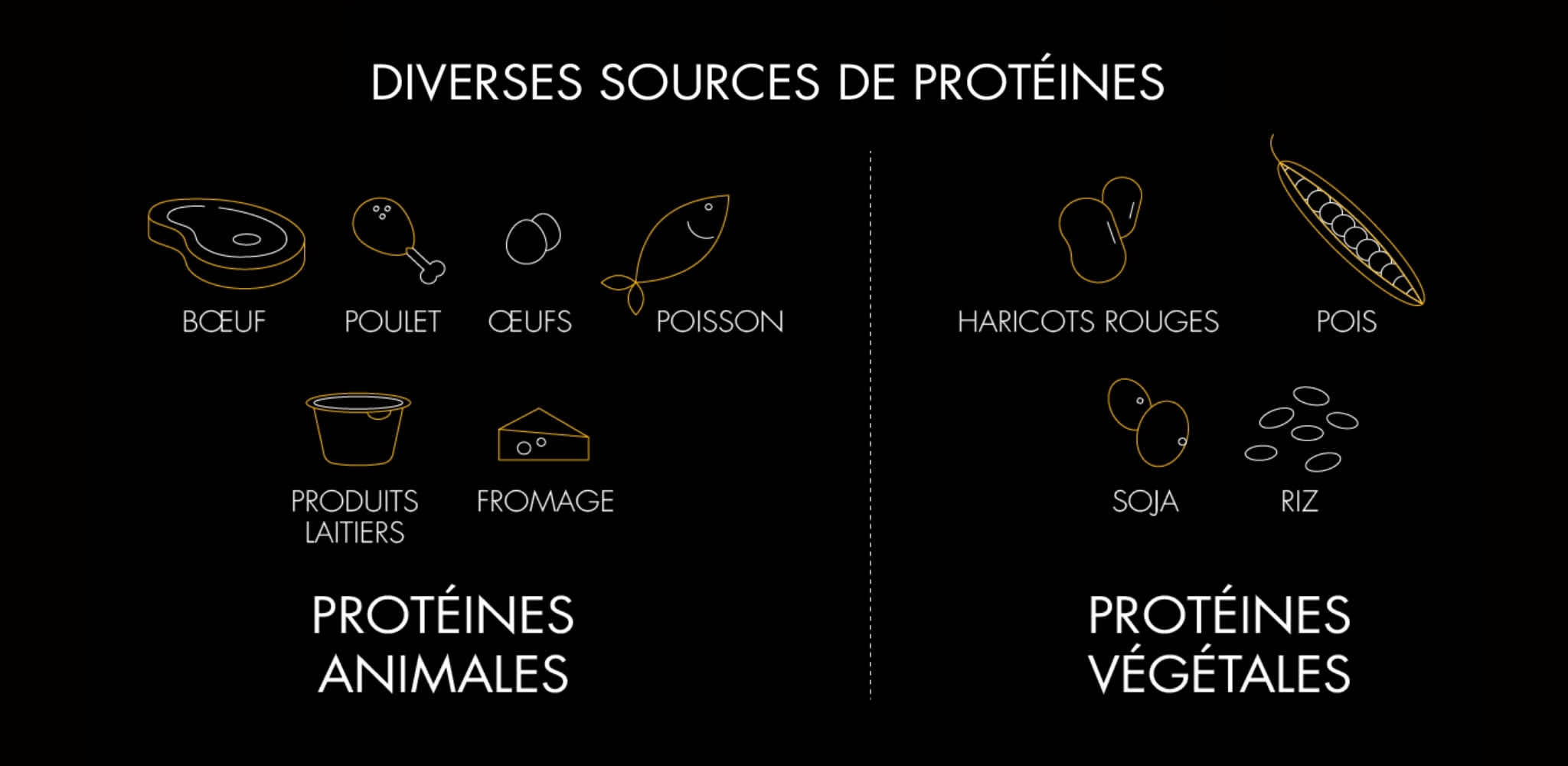 Infographie Diverses sources de protéines HiPRO