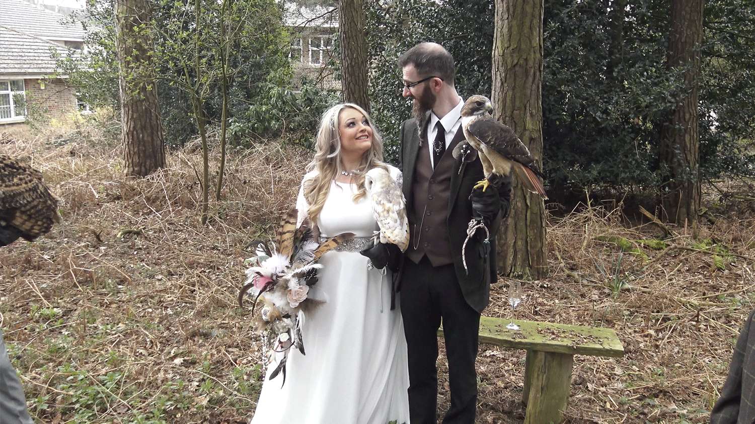 Falconry, forests and feathery friends