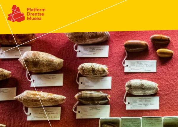 Platform Drentse Musea