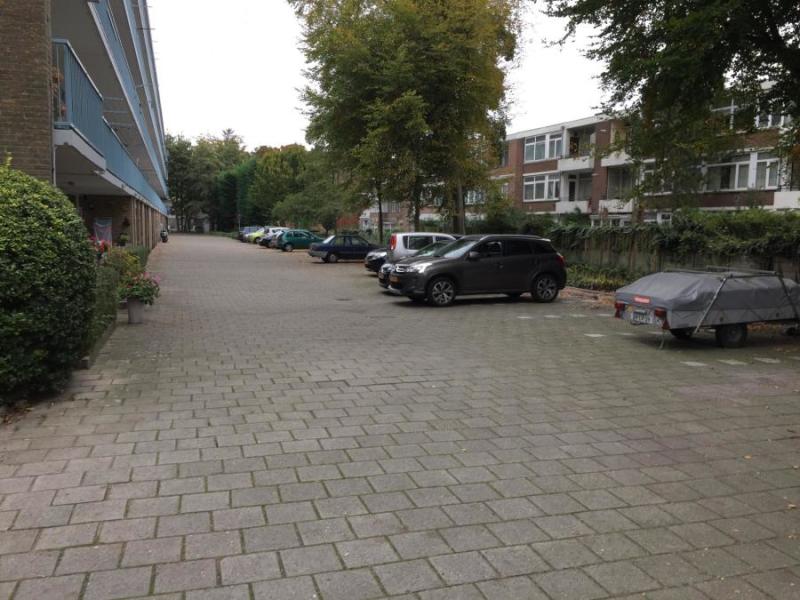 Heliotrooplaan
