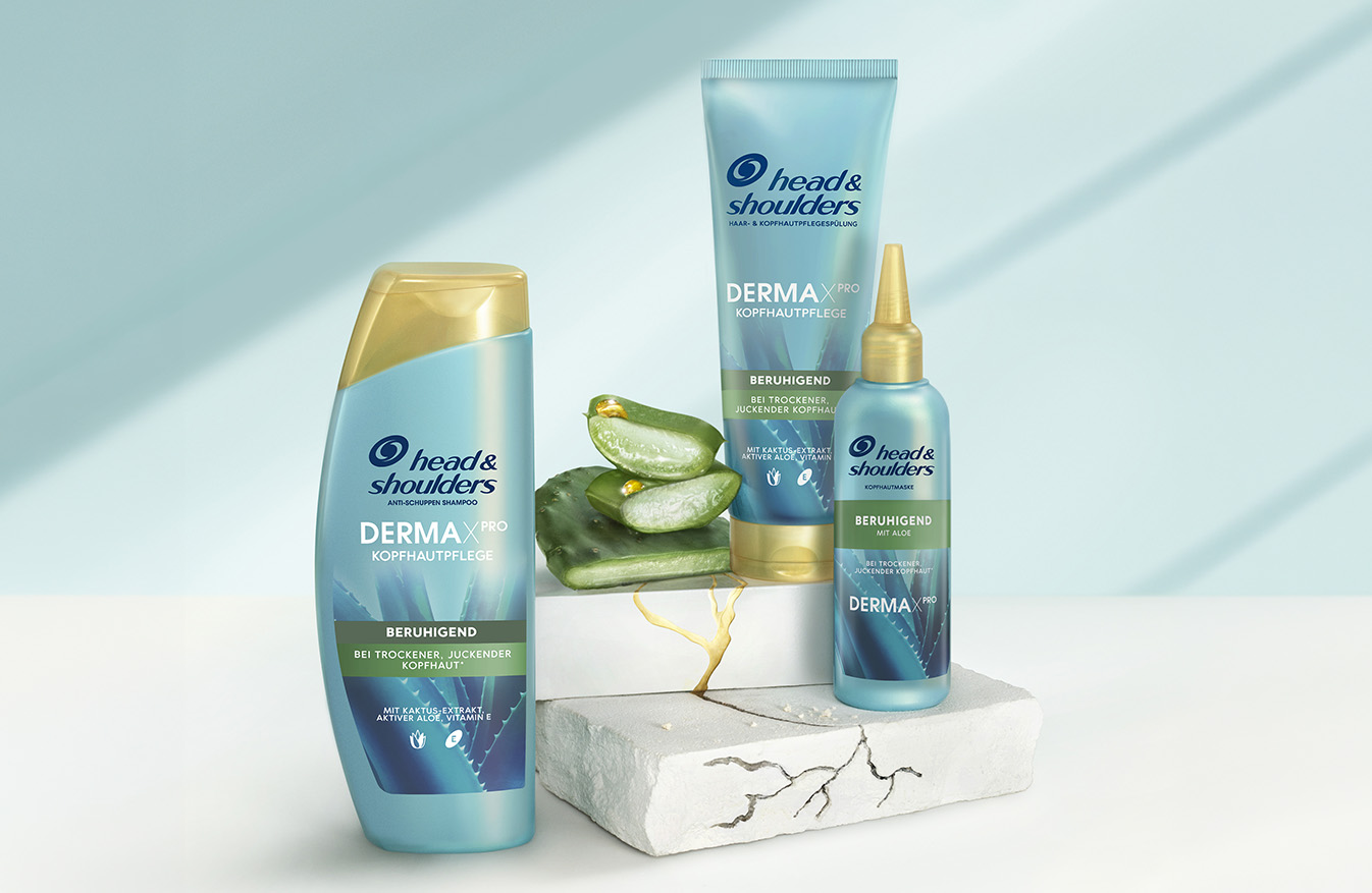 Derma X Pro Soothing Comfort Head & Shoulders Shampoo-, Conditioner- und Kopfhautbalsam-Flaschen neben Aloe- und Kaktusstücken
