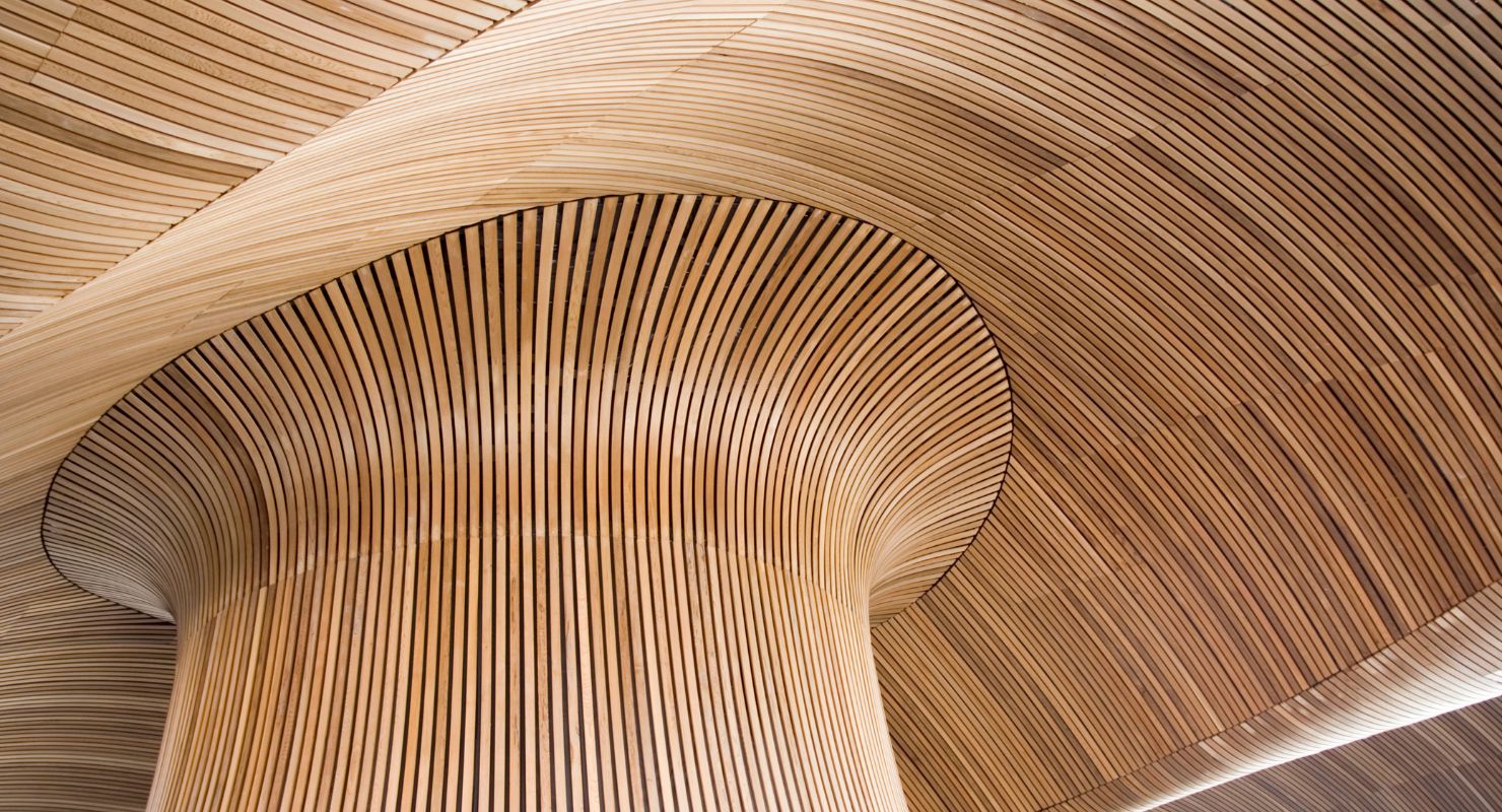 Curved wooden roof