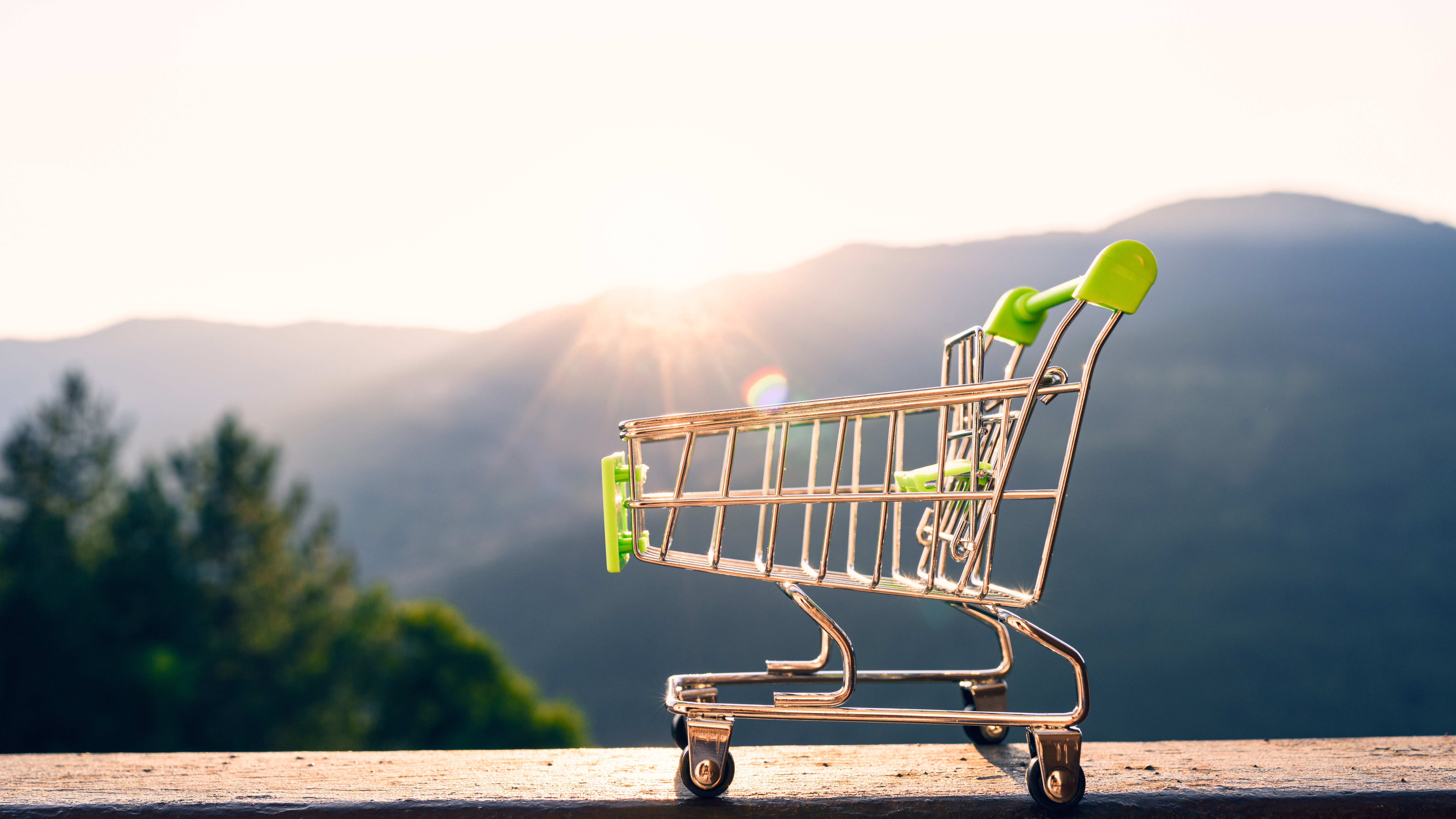 Shopping cart with mountain background
