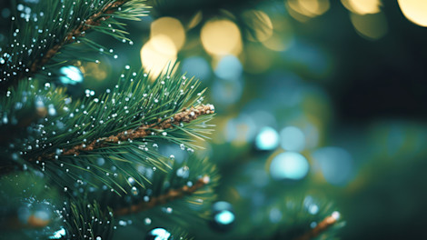 Get your search campaign ready for the holiday season