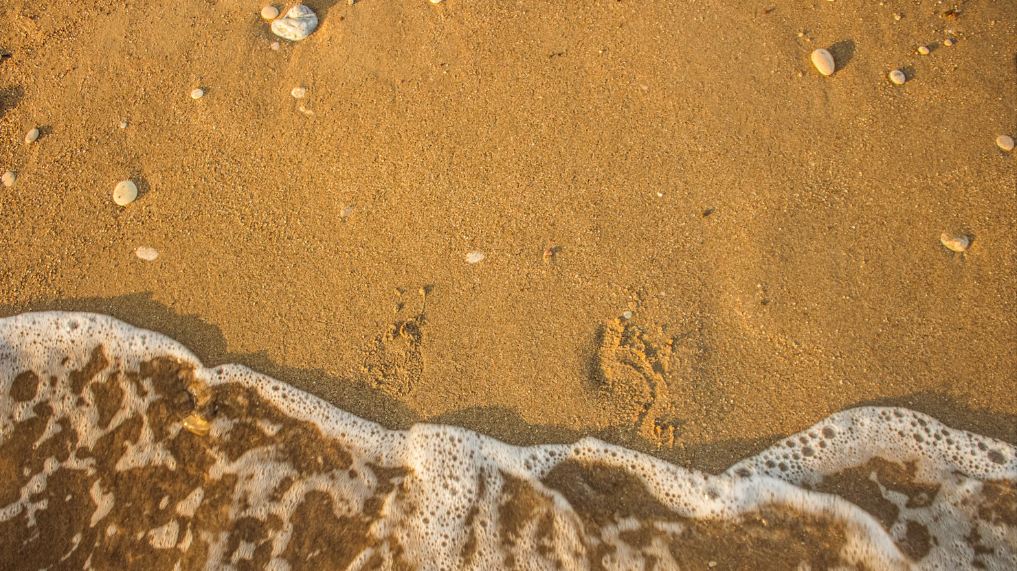 Footprints fading in the sand after wave washes over