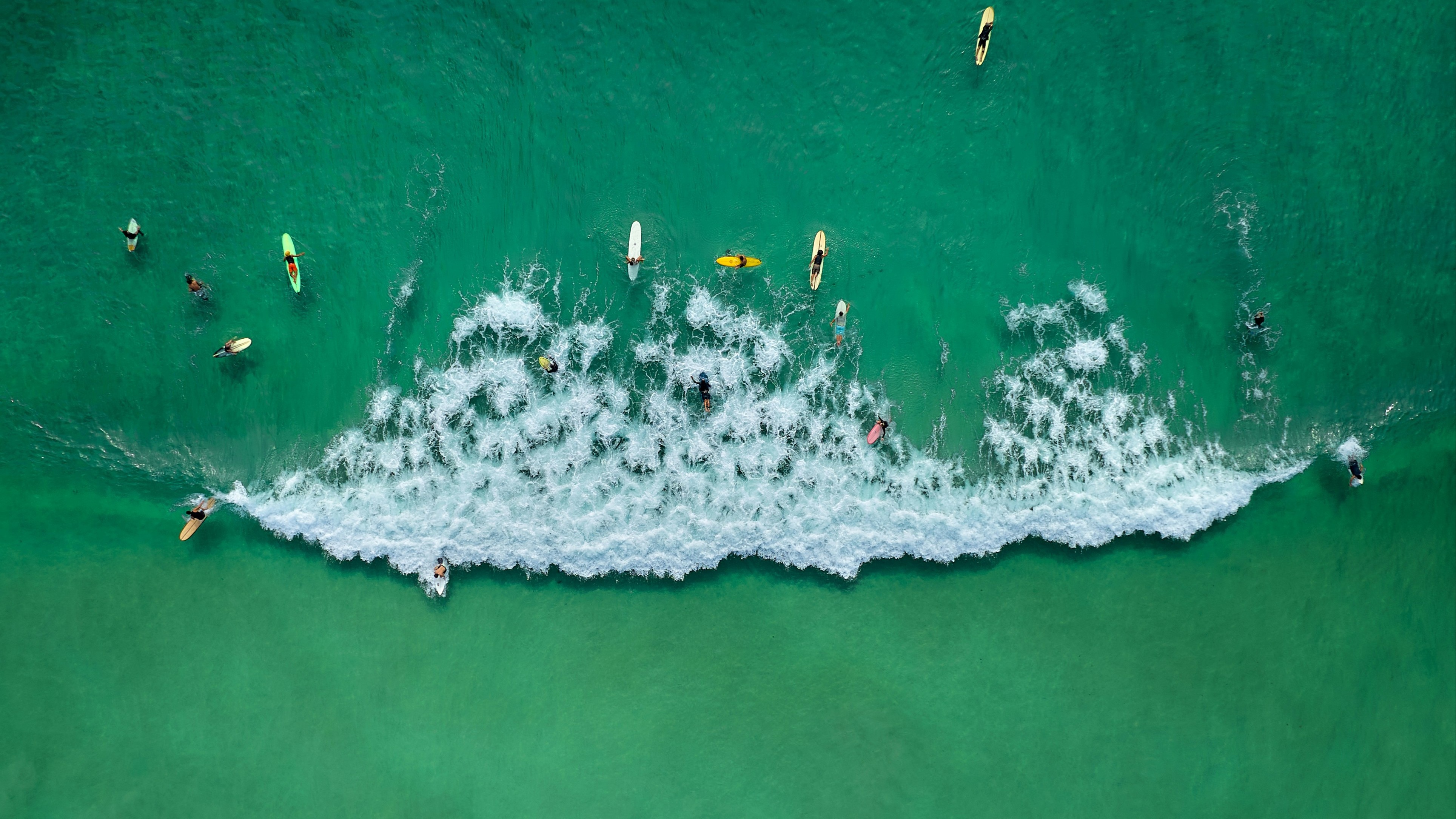 Surfers waiting for a wave