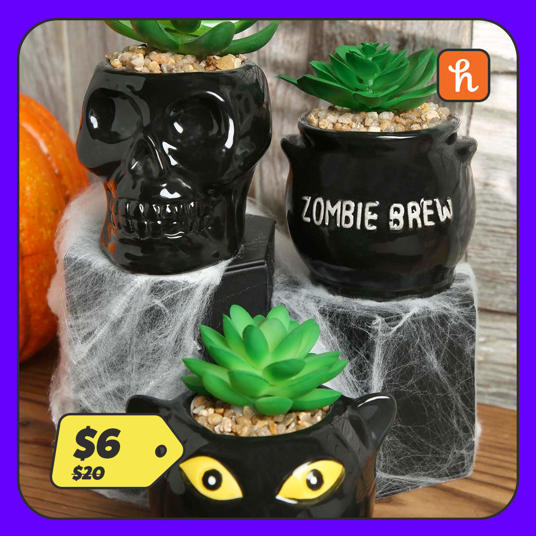 Cauldron, Cat, & Skeleton Decorative Halloween Succulent Planter Set