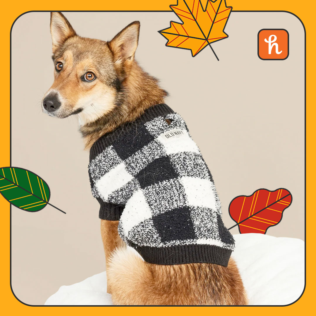 Cozy Printed Sweater for Pets
