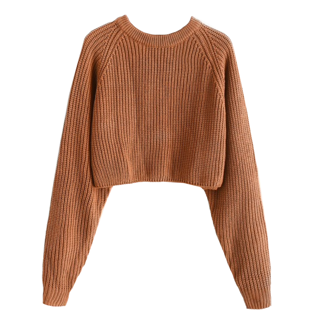 ZAFUL Raglan Sleeve Crop Jumper Sweater