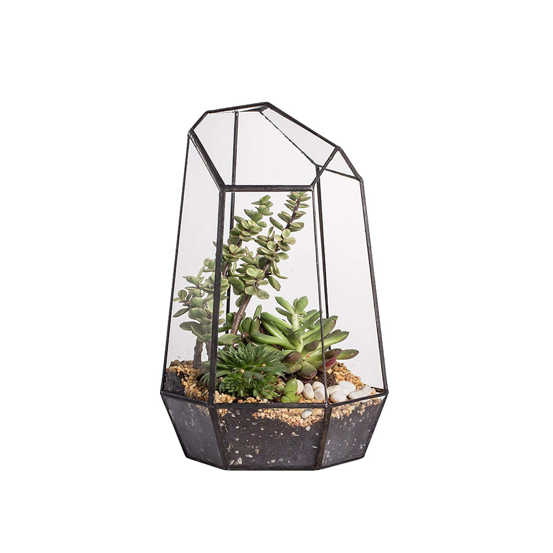Holiday Gift Guide Ideas Amazon Glass Geometric Terrarium
