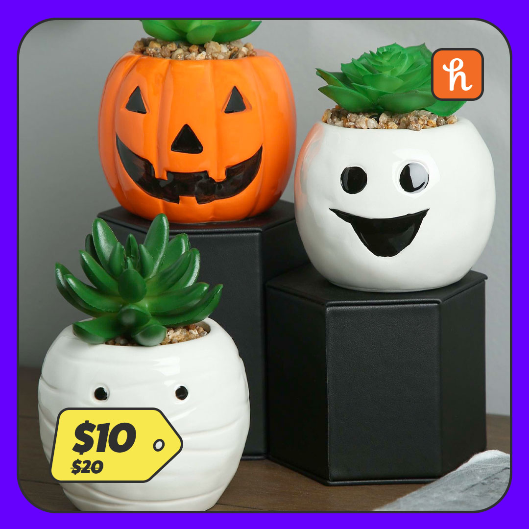 Halloween Pumpkin, Ghost, and Mummy Succulent Planter Set