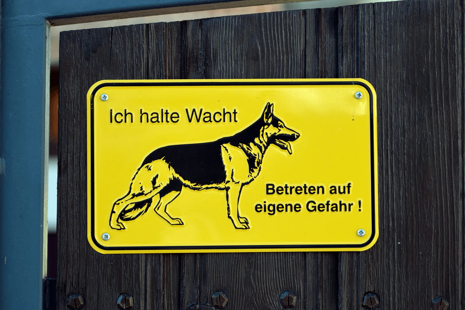 Coverbild für Beitrag: „Warnung vor dem Hund“ – haftet der Besitzer?