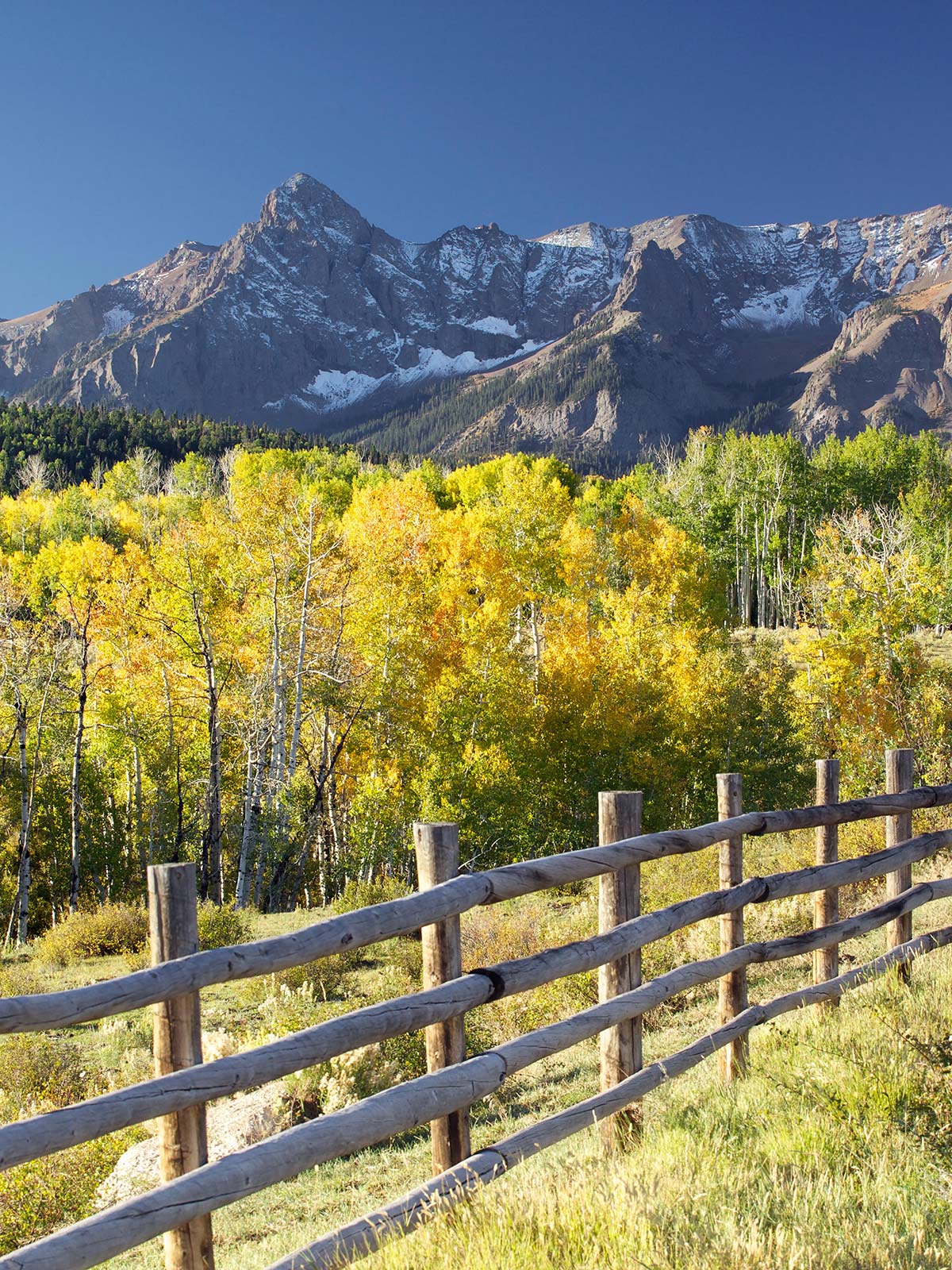Fall colors and a fence in front of Colorado Rocky mountain range