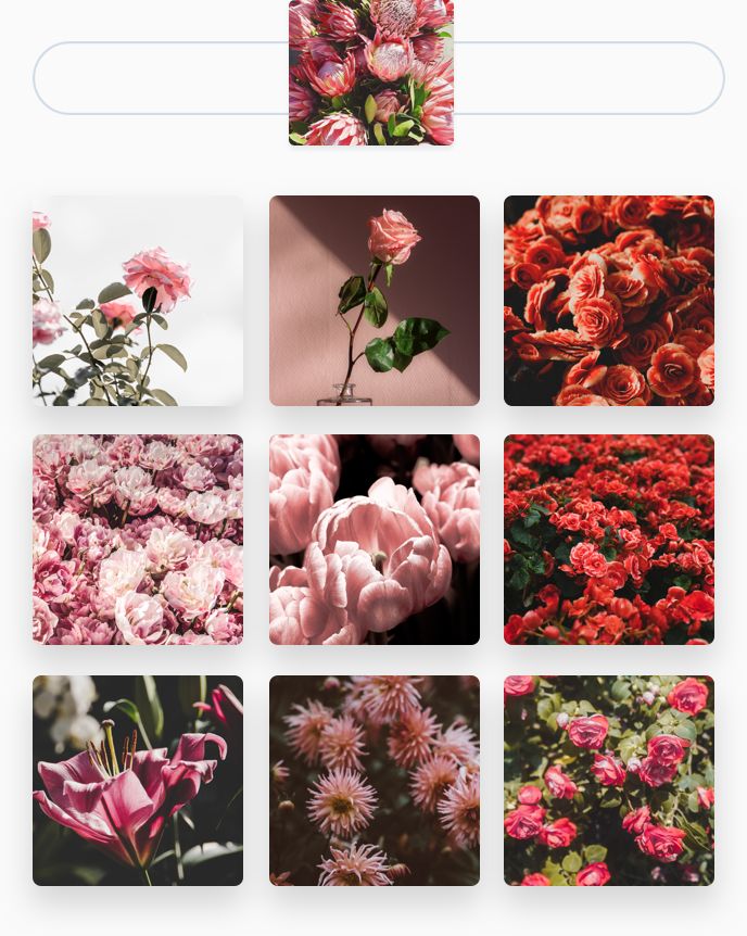 library-visual search-visual