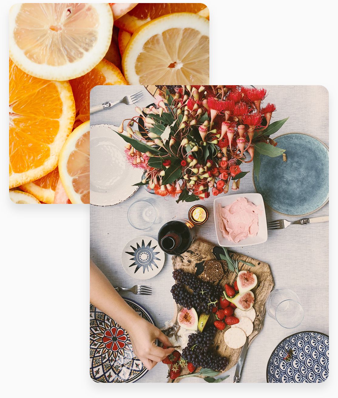 food-body-3-vis
