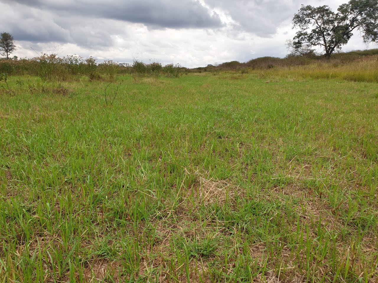 1/8 Acre plots in Juja- Gatundu-Juja Road