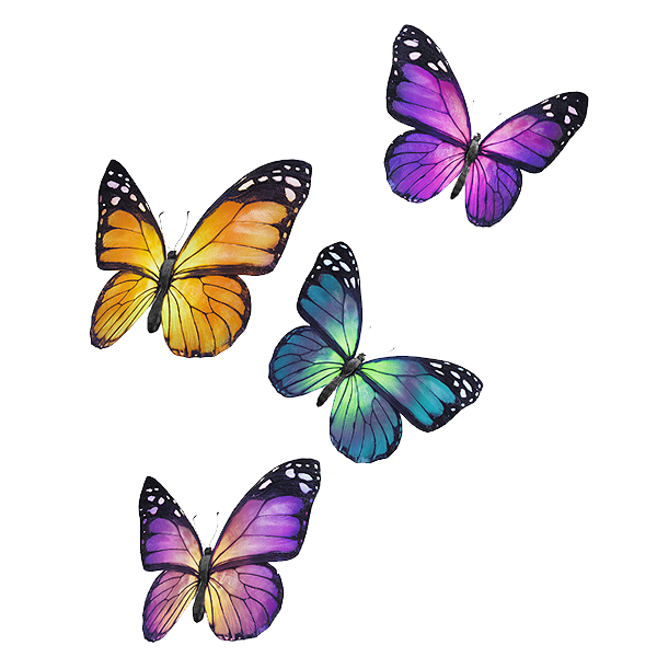 TFFF India Buttefly only