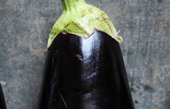 Header Aubergine