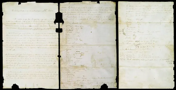 Photo of He Whakaputanga o te Rangatiratanga o Nu Tireni - the New Zealand declaration of independence