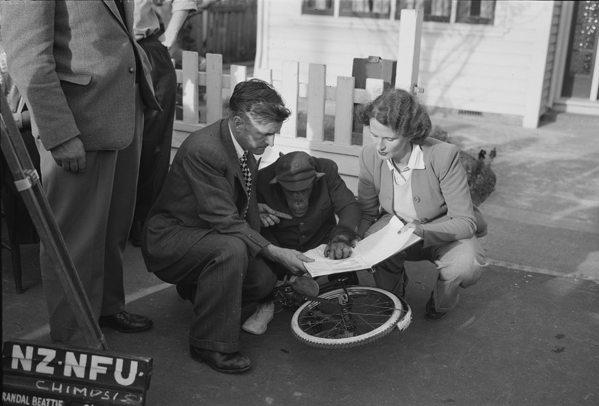 Director Kathleen O'Brien crouches in front of a house alongside a man. In between them is a monkey dressed in a cap, jacket and trousers.