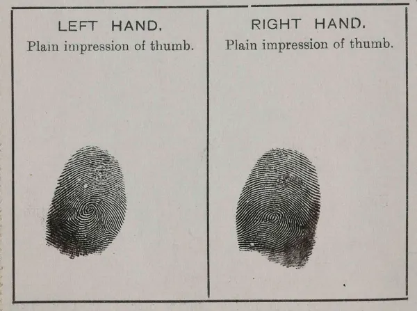 Thumb prints of left and right thumb on an old yellowed paper