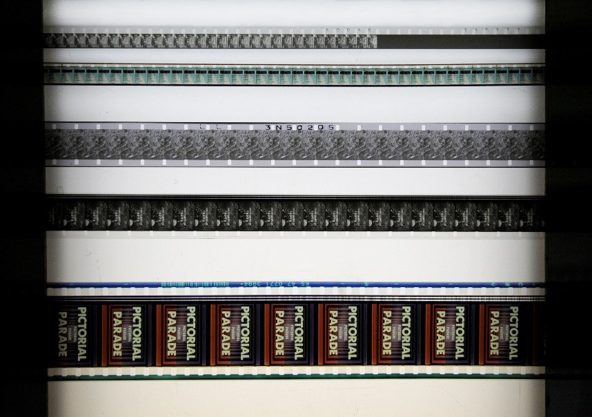 different film types spread on a lightbox