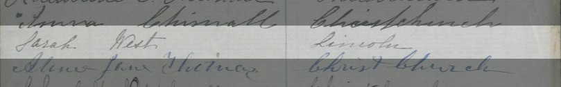 Signature on a waitangi sheet