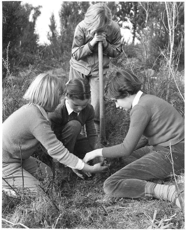 four children planting a tree