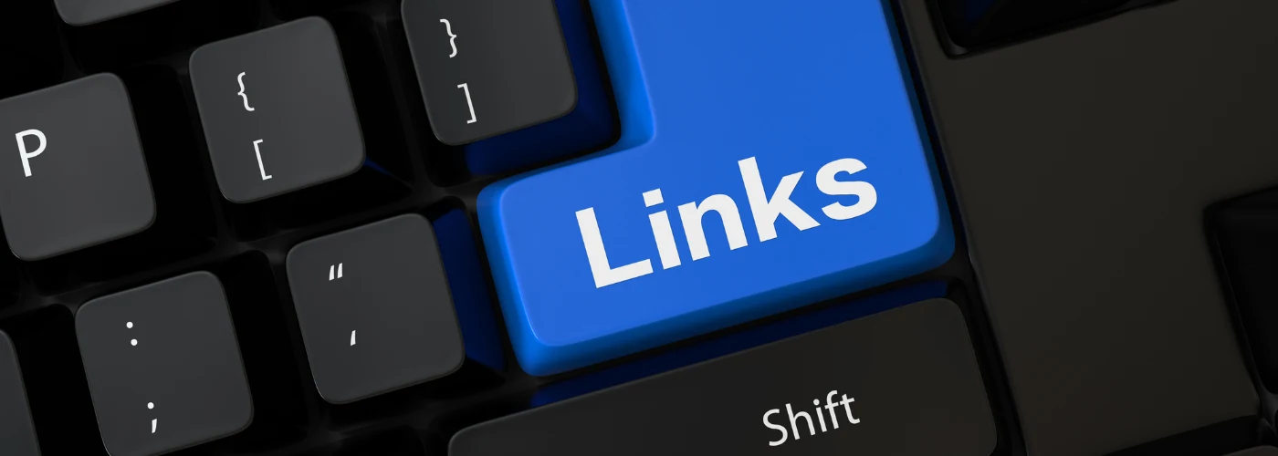 Url Management Platform Website Development Project Image