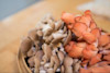Sustainable NZ grown mushrooms Sustainable NZ grown mushrooms