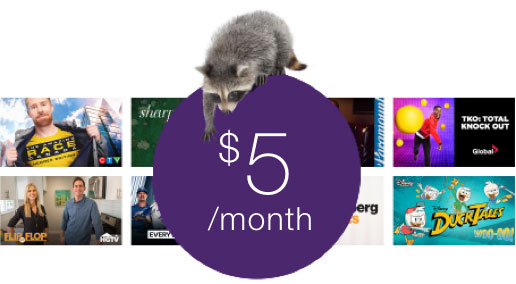 upsell-ad-PikTV-3months@2x.jpg