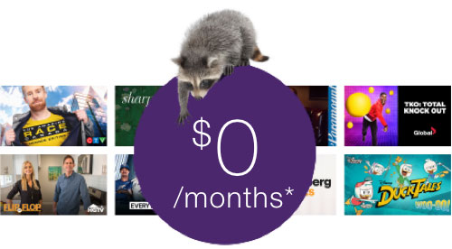 offer-Pik-24mo@2x.jpg