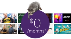 offer-Pik-24mo.jpg