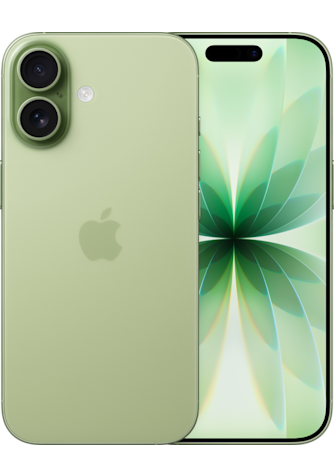 iPhone 17 Sage